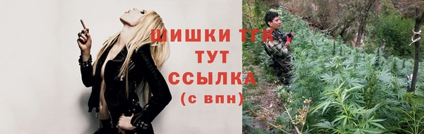 дмт Армянск